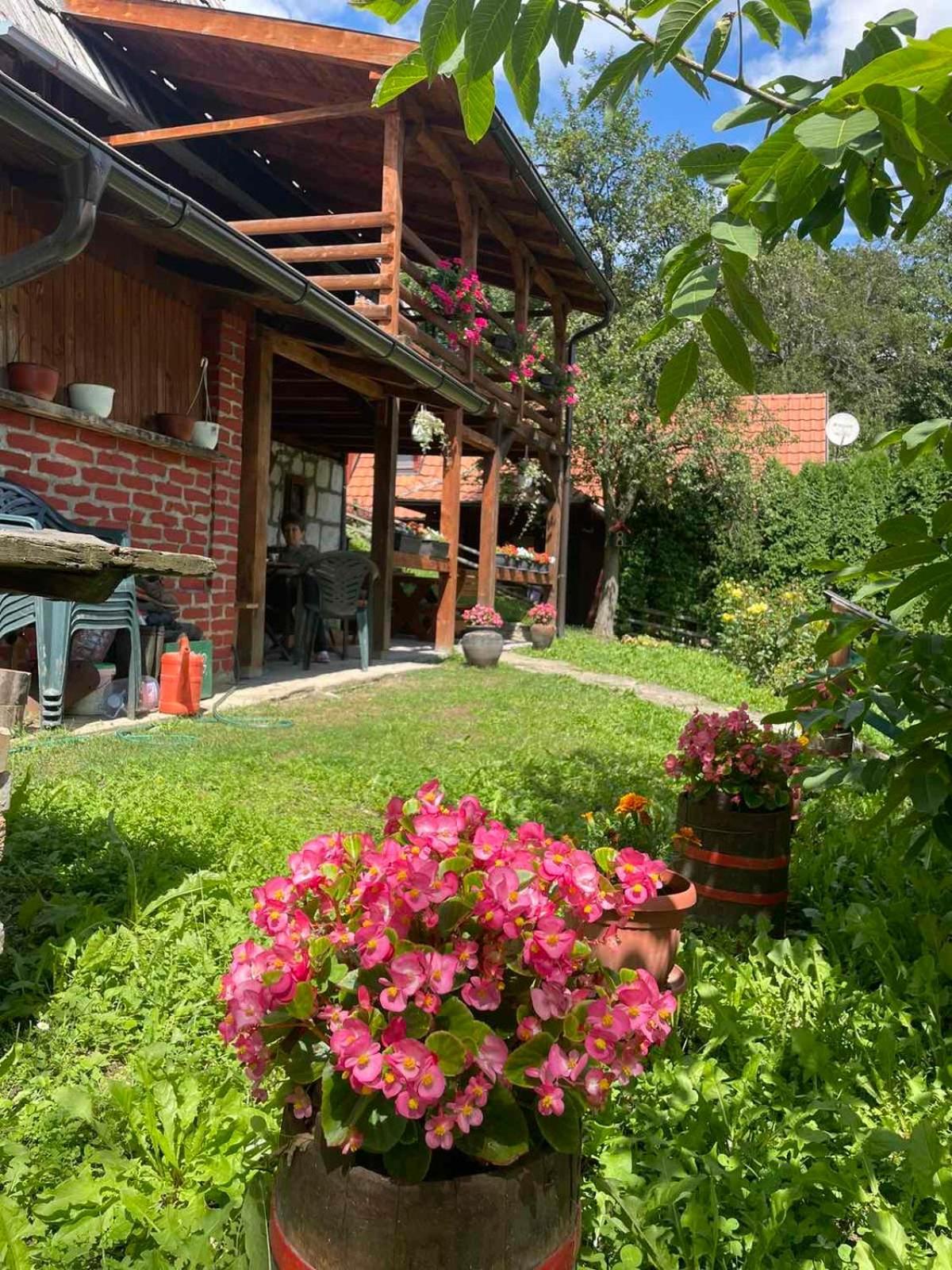 Dedina Kuca 1937 Apartment Mokra Gora Bagian luar foto